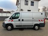 Fiat Ducato Kasten 30 115 L1H1*Werkstatteinrichtung* - Angebote