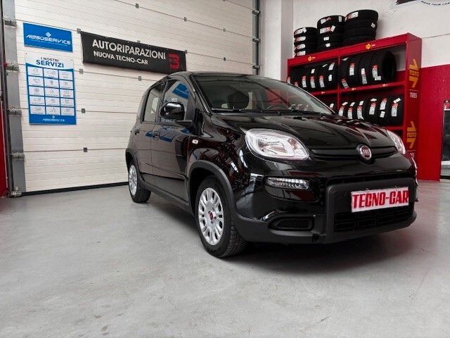 Image of Fiat Panda