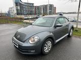 Volkswagen Beetle Design 1.Hand Komfort-Paket - Volkswagen Beetle: Kleinwagen