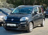 Fiat Panda Pop KLIMA*ZV*ALLWETTER*HU NEU! - Fiat Panda: Pop