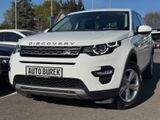 Land Rover Discovery Sport TD4 HSE Navi Leder Xenon 4xShz - Land Rover Discovery: Td4