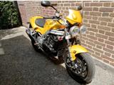 Triumph Daytona T595 - TRIUMPH T595 DAYTONA