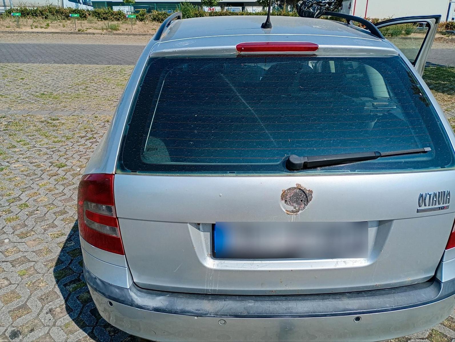 Skoda Octavia 2005 — rear view