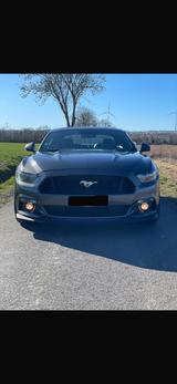 Ford Mustang 5.0 Ti-VCT V8 GT GT - Ford Mustang in Hamm