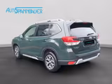 Subaru Forester Active - Subaru Forester mit Benzin-Antrieb: Grün