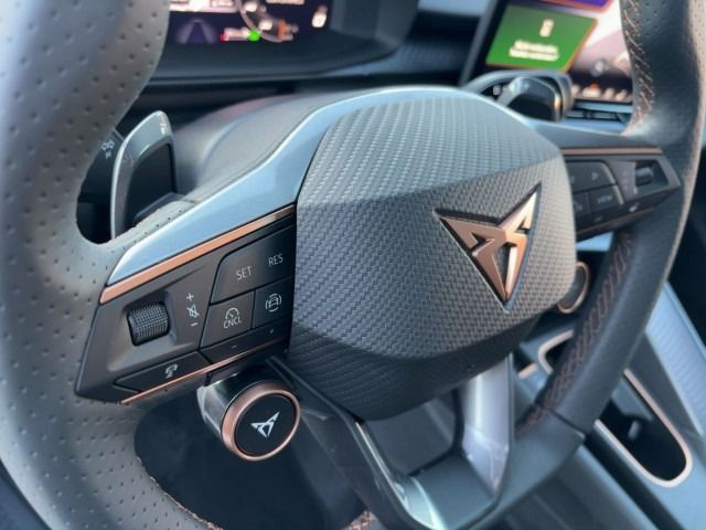 Cupra Terramar - Bild 17