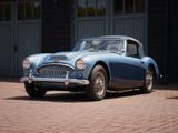 Austin Healey 3000 BJ8 MK3 - gebrauchte Austin Healey Roadster