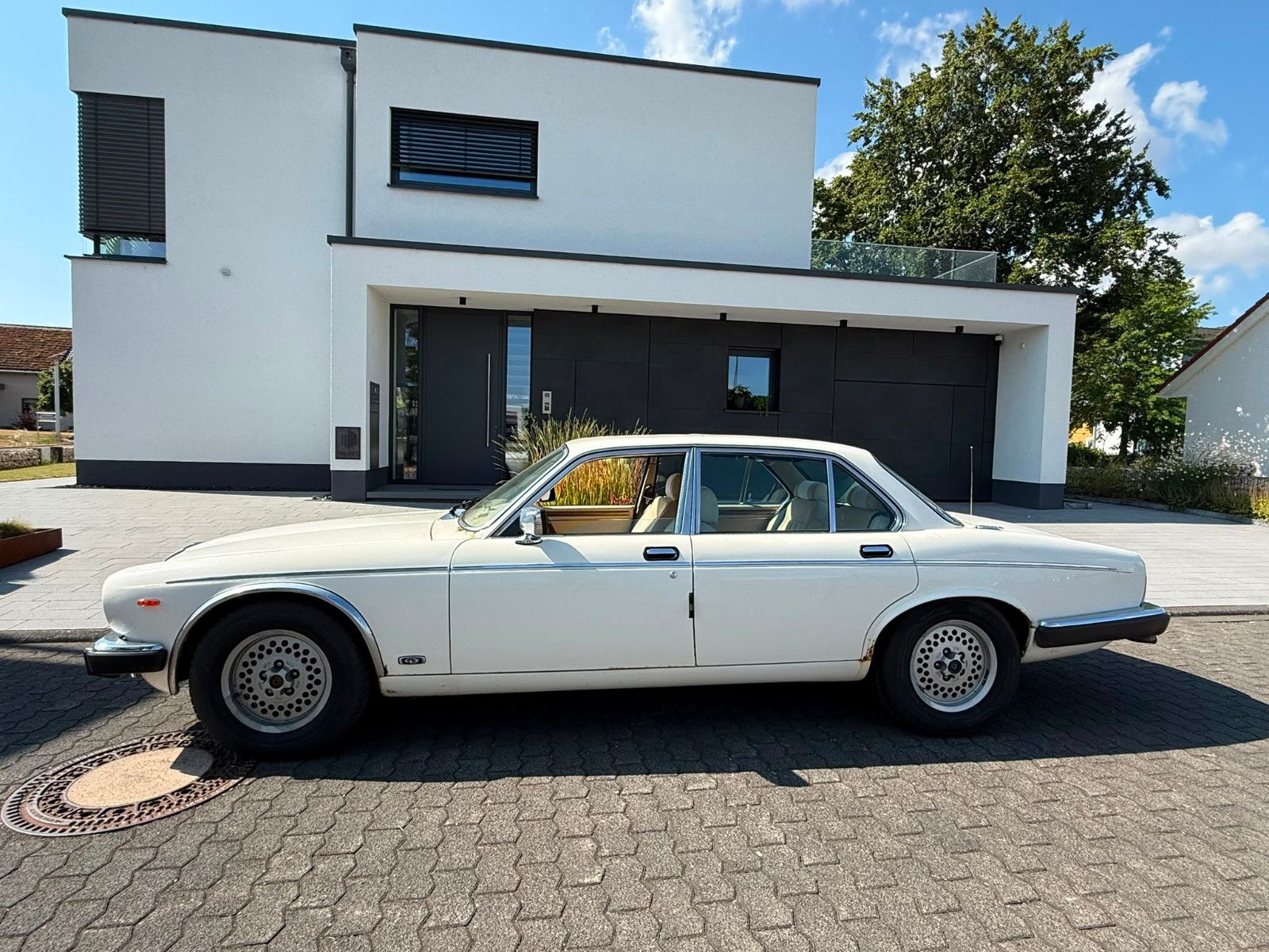 Fahrzeugabbildung Jaguar XJ12 Double Six Serie 3 Daimler H-KENNZEICHEN