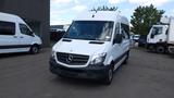 Mercedes-Benz Sprinter Minibus 313 CDI( Stock ID 43633) - : Van, Minibus