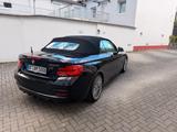 BMW M240i Steptronic Cabrio - - BMW M240i: 240