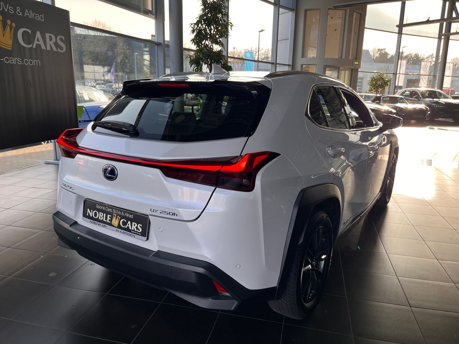Fahrzeugabbildung Lexus UX 250 h Launch Edition LED NAV SHZ RFK