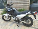Suzuki XF 650 Freewind - SUZUKI FREEWIND 650