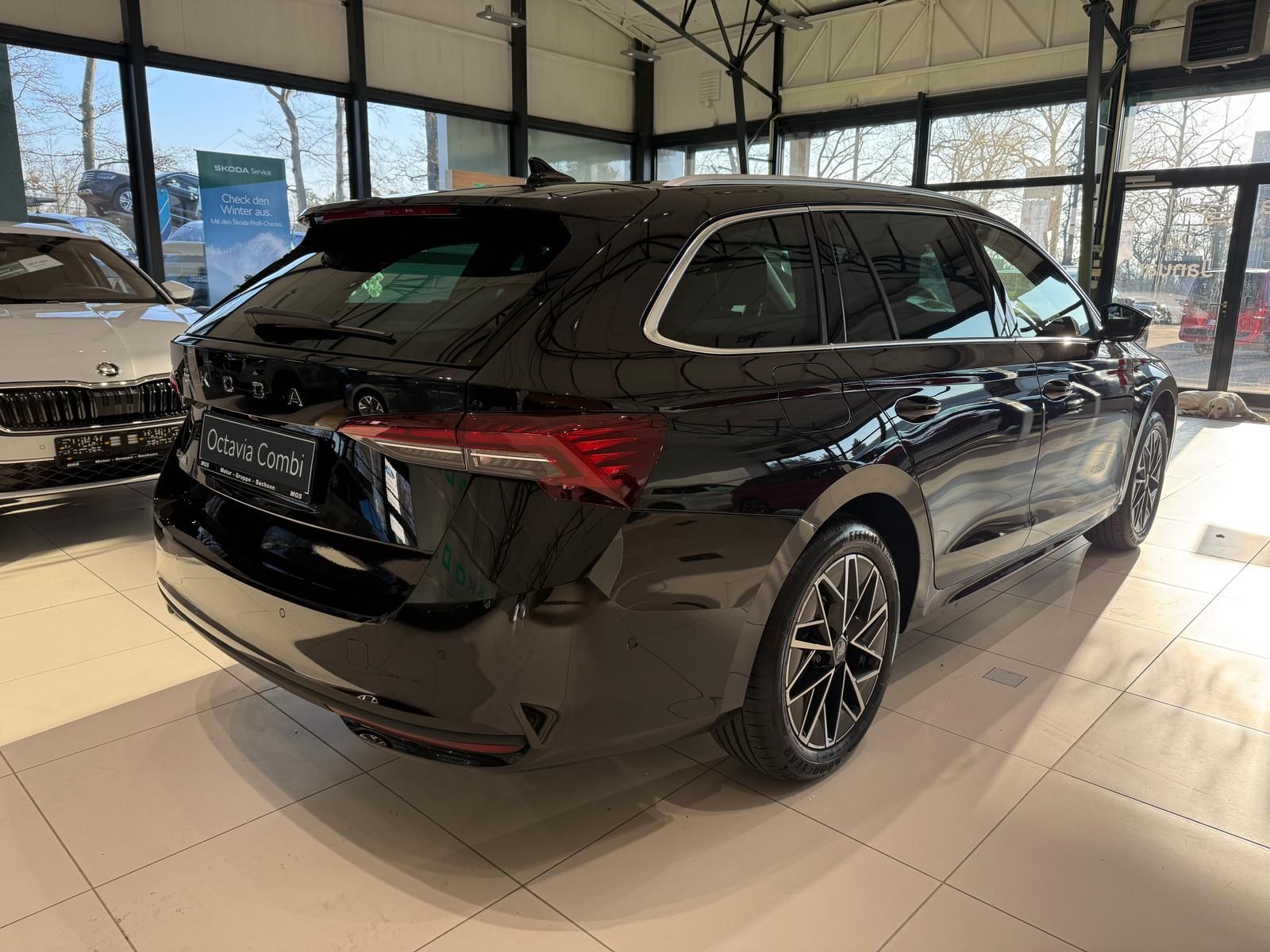 Skoda Octavia - Bild 4