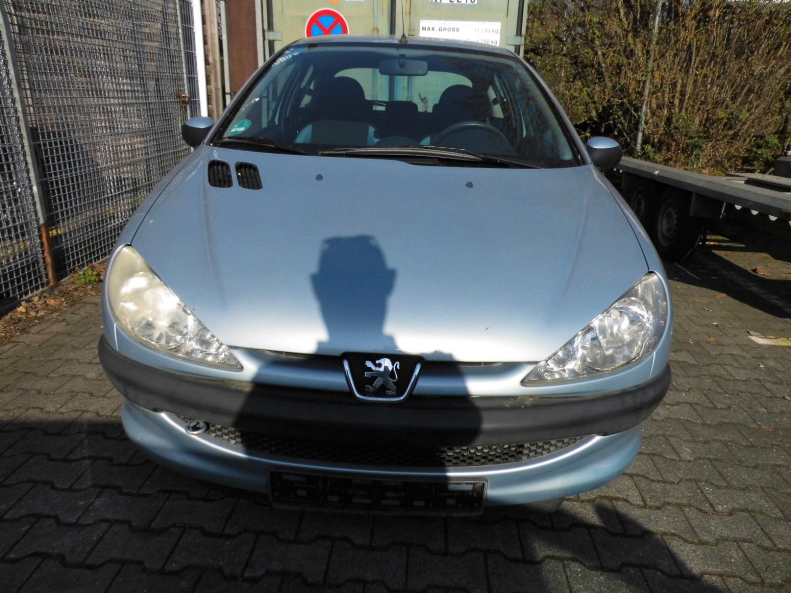 Peugeot 206 Pop Art 60