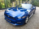 Ford Ford Mustang 3.7 V6 Blue metalic private owner 