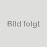 Fiat Ducato L2H2 Automatik Sitzheizung AHK - Fiat Ducato in Chemnitz