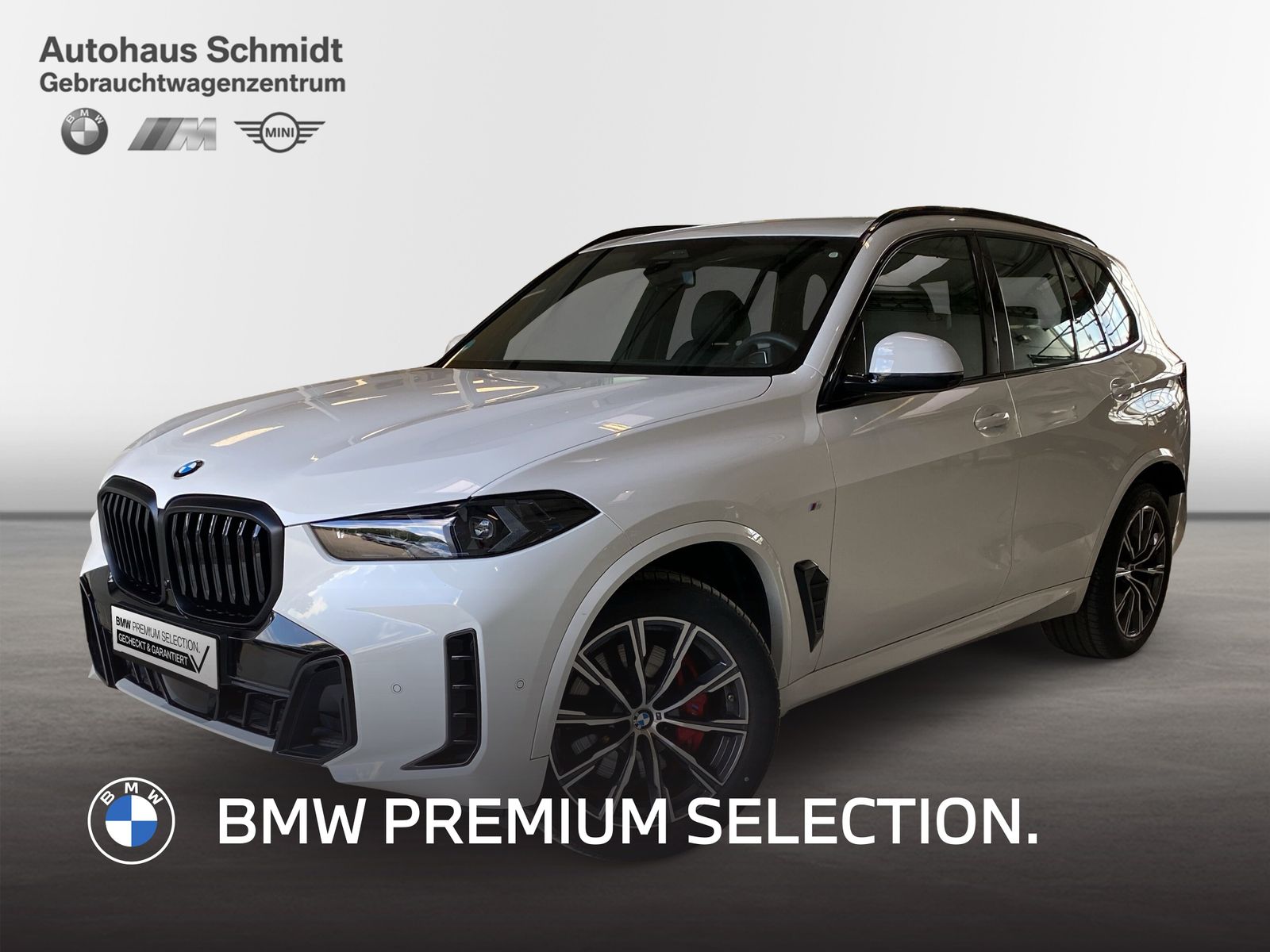 BMW X5 - Bild 1