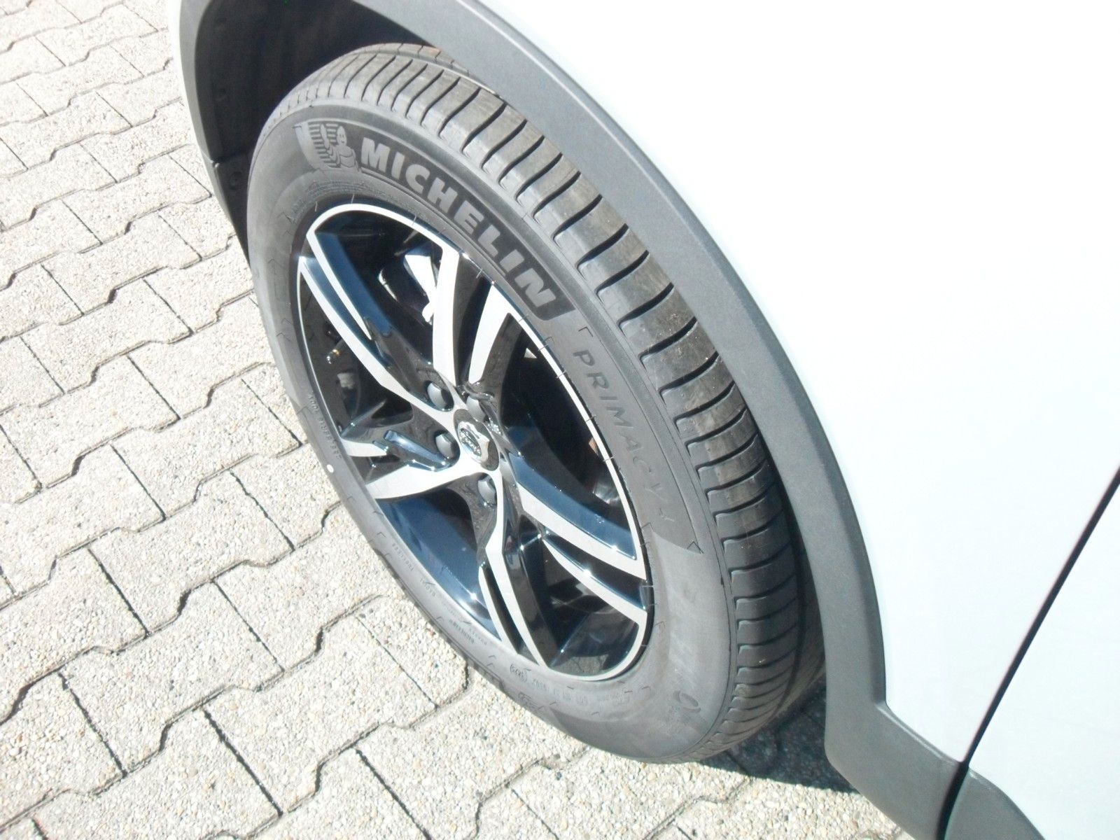 Fahrzeugabbildung Volvo XC 40 B3 Plus Dark | Standheizung | 360°