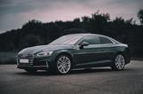Audi S5 B9 Coupé | Gotlandgrün | (fast) Vo... - Audi S5 B9
