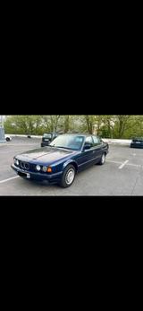 BMW 525I 24V H-Kennzeichen  - BMW 525: 525i 24v