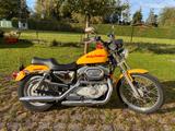 Harley-Davidson Sportster 883 XL 53 C - HARLEY-DAVIDSON 1998 SPORTSTER