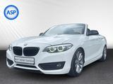 BMW 220i Cabrio AUT Advantage LED H&K NAVI SHZ PDC