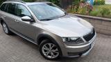 Skoda Octavia 1.8 TSI DSG 4x4 Scout Combi Scout - Skoda Octavia Scout mit Benzin-Antrieb