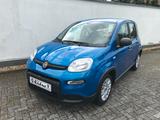 Fiat Panda MY24 1.0 GSE Hybrid Klimaanlage - Fiat Panda Gebrauchtwagen in Aachen
