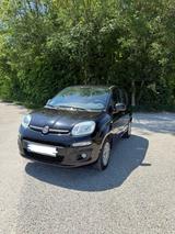 Fiat Panda Typ 312, 1.2 BJ 2016, 51 kW, erste Hand - Fiat Panda 312