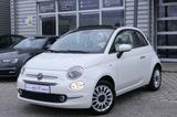 Fiat 500 Cabrio Lounge°Klima°Temp°Navi°PDC°Creme - Fiat Gebrauchtwagen in Kiel