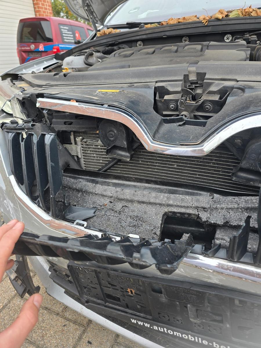 Skoda Octavia 2015 — photo 5