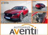 Mazda CX-30 Selection SHZ*RFK*ACC*LED*NAVI*Cam