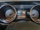 Ford Mustang 3.7 V6 Cabriolet  - Ford Mustang: Cabrio