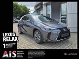 Lexus UX 300h F Sport Design ACC FLA SpurH LM - Lexus UX in Dresden