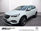 Opel Grandland 1.2 Elegance Allwetter el. Heckkl. Kam - Opel Grandland (X) in Halle