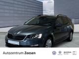 Skoda Octavia Combi 1.4 TGI Ambition G-Tec Green tec A - Skoda mit CNG-Antrieb