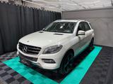 Mercedes-Benz ML 250 ML ML 250 CDI BlueTec LED/SHZ/AHK/21-ZOLL - Mercedes-Benz ML 250 Gebrauchtwagen