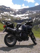 Triumph Tiger T400 / 885i - TRIUMPH T400