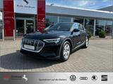 Audi e-tron quattro AZN-Haus-Förderung* StandHz Luftf - scheckheftgepflegte Audi e-tron