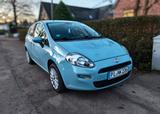 Fiat Punto 2014 1.2 8V STREET TÜV 12/26 Borbet Alu - Fiat Punto Gebrauchtwagen in Hamburg