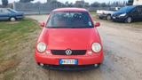 Volkswagen Lupo 1.7 SDI cat Trendline 44kw - Volkswagen Lupo: Trendline