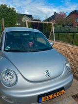 Volkswagen Beetle - gebrauchte VW Beetle aus dem Jahr 2001