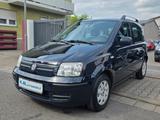 Fiat Panda 1.2 8V Dynamic Klima - Fiat Panda in Ludwigshafen