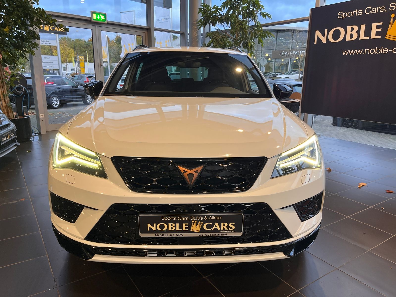 Fahrzeugabbildung CUPRA Ateca 4Drive BEATS 360° ACC LED
