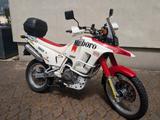 Suzuki DR 800 Big SR43A - SUZUKI BIG DR