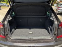 Skoda Kamiq - Vorschau Bild 14