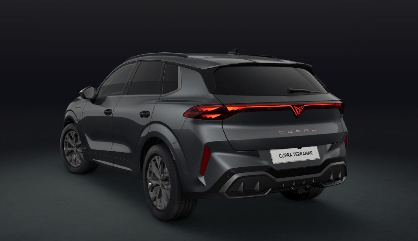 Cupra Terramar - Bild 2