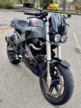 Buell XB12 X Ulysses  - Offers