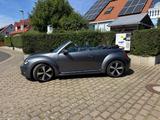 Volkswagen New Beetle Cabrio - Volkswagen New Beetle: Cabrio