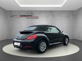 Volkswagen The Beetle Cabriolet Diesel 2.0 TDI (BlueMotion  - Volkswagen Beetle: TDI